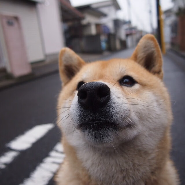 【青春新星】年轻运动员向丁俊晖学习训练秘籍,丁俊晖教程