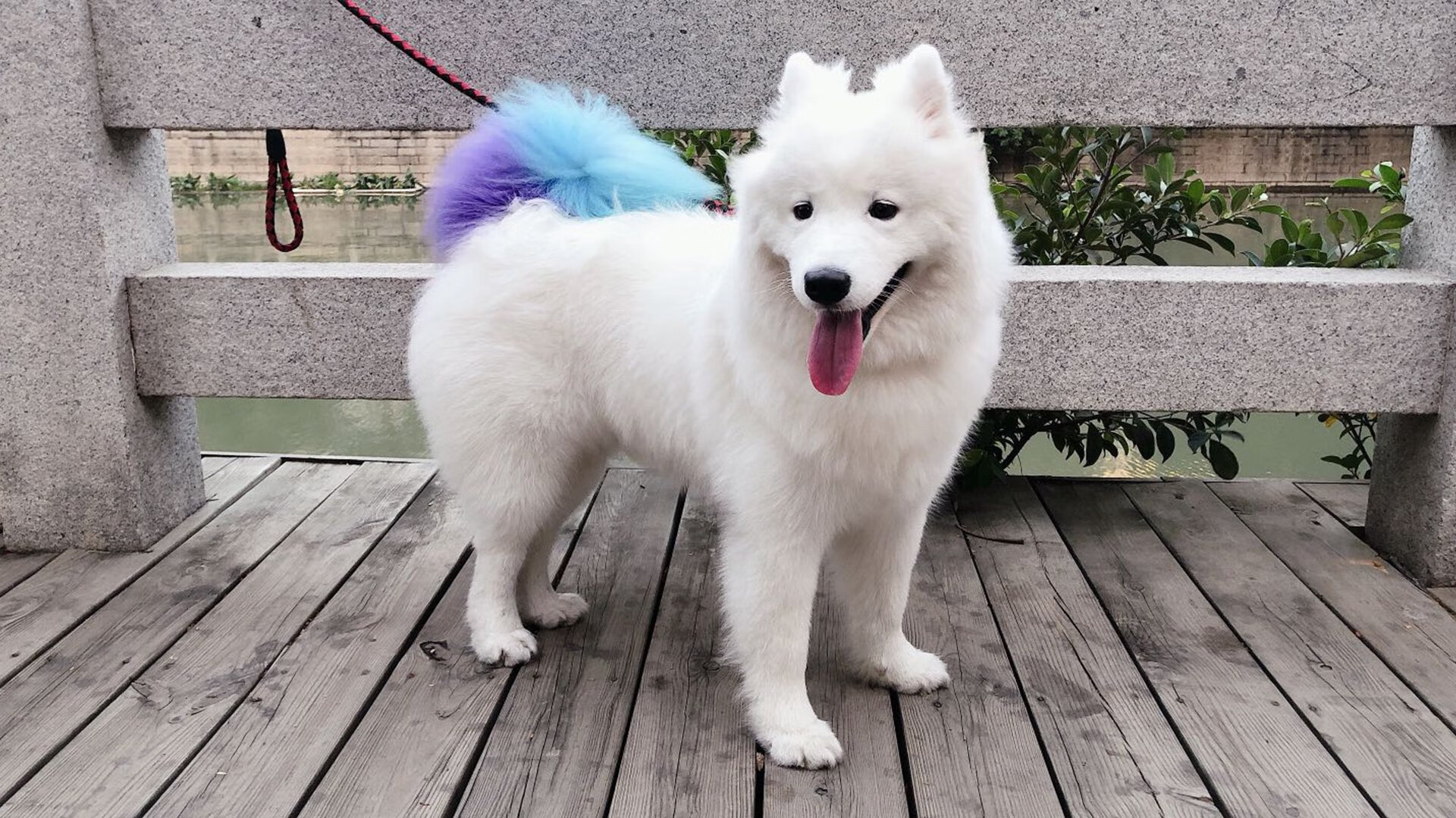 爱游戏电竞竞猜-NBA的“绿色使命”：推动可持续发展的环保行动，绿色nba球队