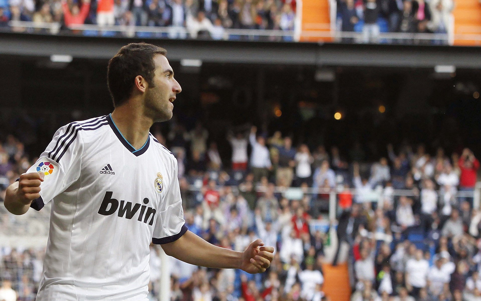 南非羚羊队防守担当：皮特·斯图斯无愧为世界最佳后排，南非羚羊皮可以干嘛用